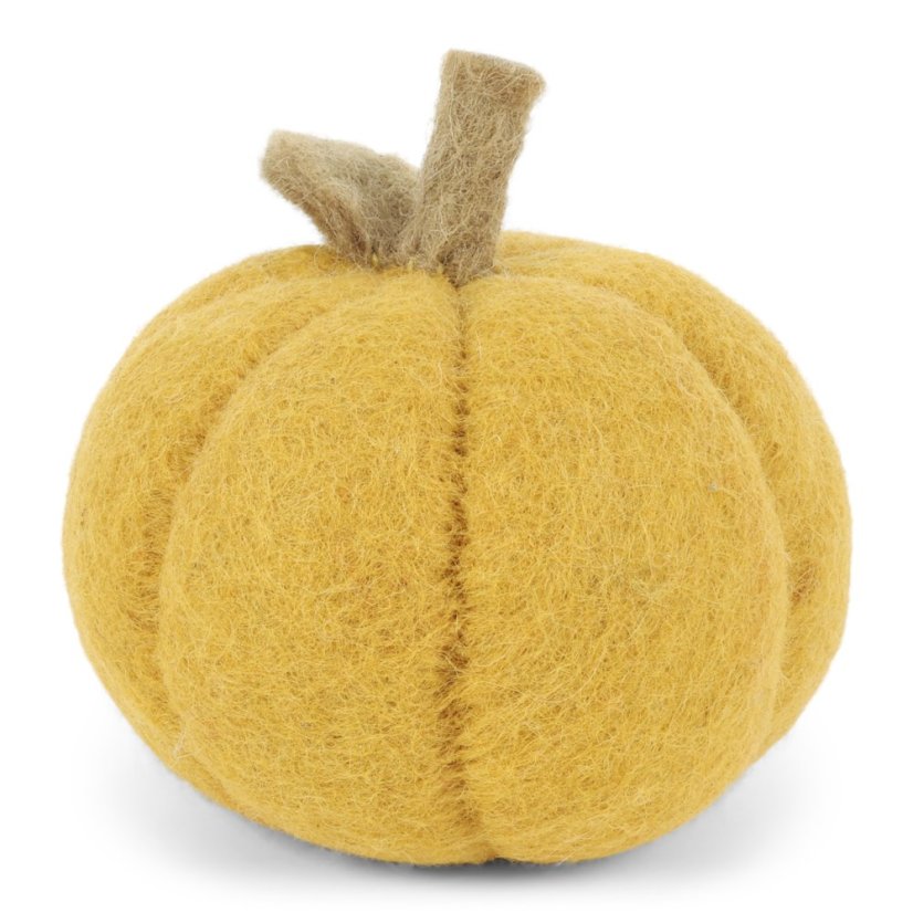 Dýně žlutá, menší
