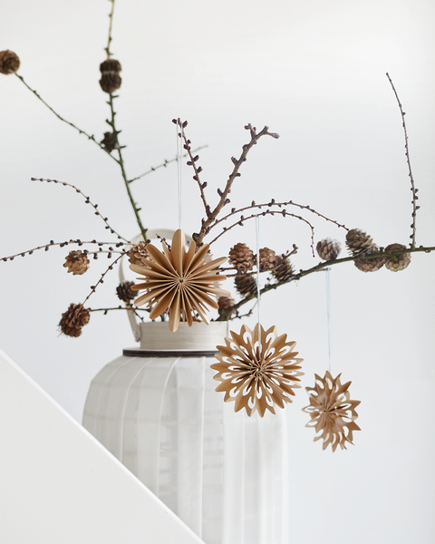 HVĚZDY A VLOČKY - Skladem