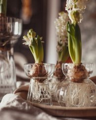 Váza na cibuloviny Strömshaga 12 cm